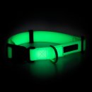 Paikka Hundehalsband Glow