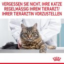 ROYAL CANIN Katzen Nassfutter Appetite Control Care 12x85g