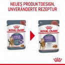 ROYAL CANIN Katzen Nassfutter Appetite Control Care 12x85g