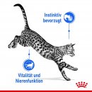 ROYAL CANIN Katzen Nassfutter Indoor 7+ Sterilised in So&szlig;e 12x85 g