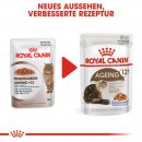 ROYAL CANIN Katzen Nassfutter Ageing 12+ in Gelee 12x85 g