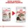 ROYAL CANIN Katzen Nassfutter Ageing 12+ in Gelee 12x85 g