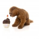 FuzzYARD Hundespielzeug Birthday Cupcake