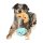 FuzzYARD Hundespielzeug Perfect Match Croissant & Cappuccino 2er Pack