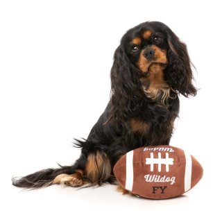 FuzzYARD Hundespielzeug Wildog Football