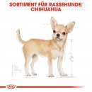 ROYAL CANIN Chihuahua Adult Hundefutter trocken 0,5 Kg