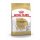 ROYAL CANIN Chihuahua Adult Hundefutter trocken 0,5 Kg