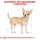 ROYAL CANIN Chihuahua Adult Hundefutter trocken 0,5 Kg