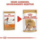 ROYAL CANIN MINI Adult Nassfutter für Pudel 12x85 g