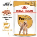 ROYAL CANIN MINI Adult Nassfutter f&uuml;r Pudel 12x85 g