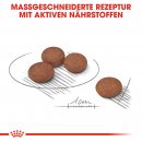 ROYAL CANIN DIGESTIVE CARE MINI Trockenfutter f&uuml;r kleine Hunde mit empfindlicher Verdauung 1 Kg