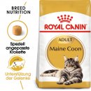 ROYAL CANIN Maine Coon Adult Katzenfutter trocken 0,4 Kg