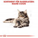 ROYAL CANIN Maine Coon Adult Katzenfutter trocken 0,4 Kg