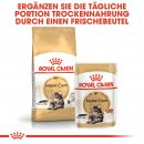 ROYAL CANIN Maine Coon Adult Katzenfutter trocken 0,4 Kg