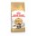 ROYAL CANIN Maine Coon Adult Katzenfutter trocken 0,4 Kg