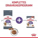 ROYAL CANIN Katzen Trockenfutter Appetite Control Care 0,4 kg