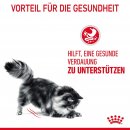 ROYAL CANIN Digestive Care Trockenfutter f&uuml;r Katzen mit empfindlicher Verdauung 0,4 Kg