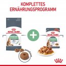 ROYAL CANIN Digestive Care Trockenfutter f&uuml;r Katzen mit empfindlicher Verdauung 0,4 Kg