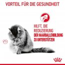 ROYAL CANIN Hairball Care Katzenfutter trocken gegen Haarballen 0,4 Kg