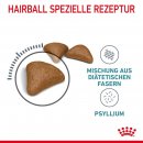 ROYAL CANIN Hairball Care Katzenfutter trocken gegen Haarballen 0,4 Kg