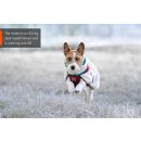 Non-stop Dogwear Hundemantel Trekking Fleece Jacket