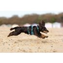 Non-stop dogwear Hundegeschirr Ramble harness long