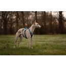 Non-stop dogwear Hundegeschirr Ramble harness long