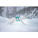 Non-stop dogwear Hundegeschirr Ramble harness long