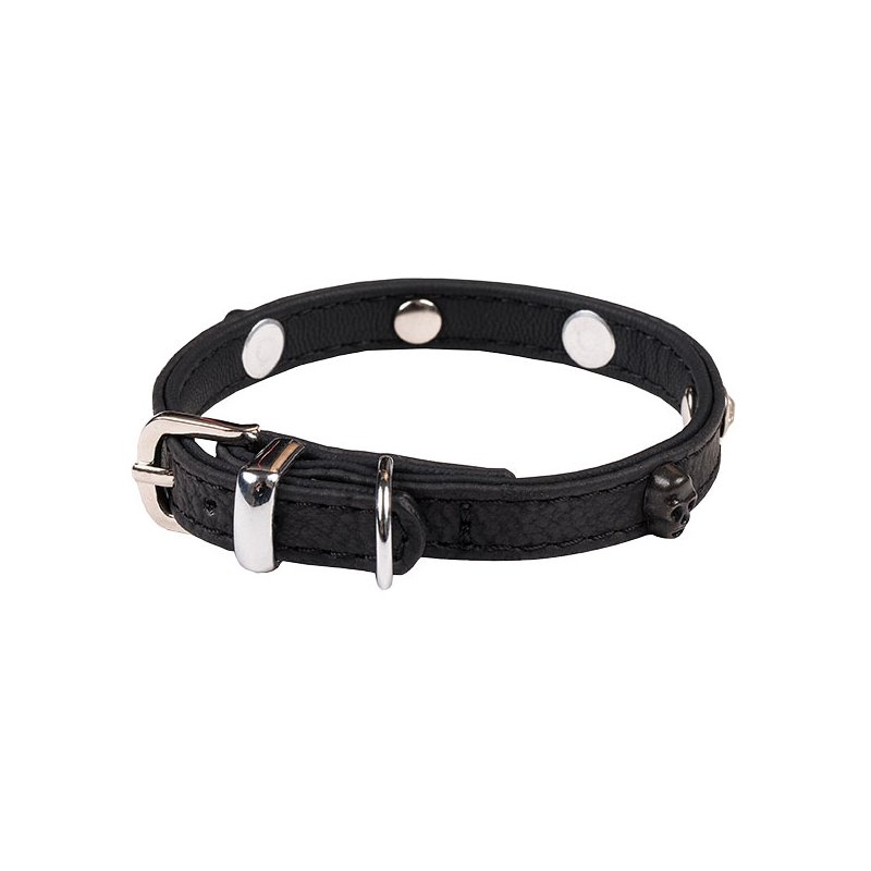 Wouapy Hundehalsband Rock PetMini 10 mm x 20 cm Schwarz