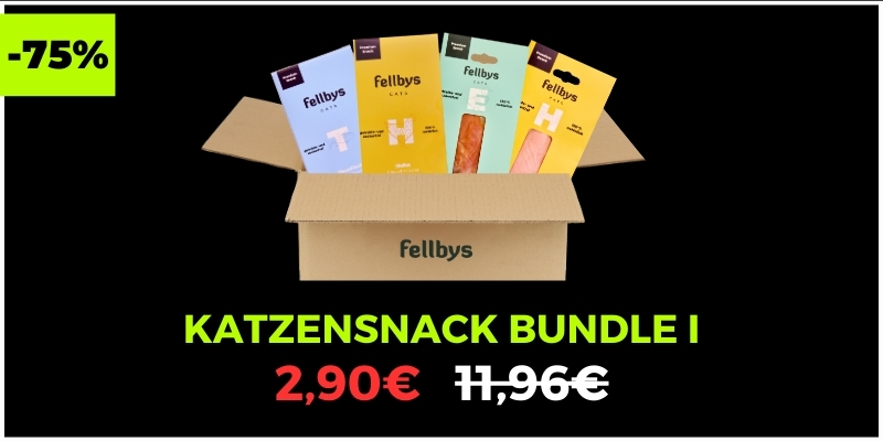 katzenbundle1.jpg