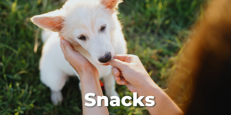 Hundefutter_snacks.jpg