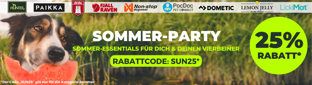 Sommerparty_LP_Desktop.jpg