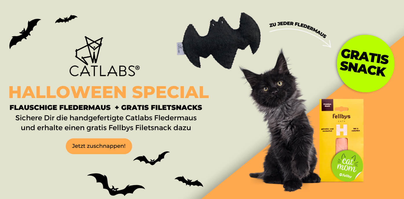 Catlabs_Halloween_Desktop11.jpg