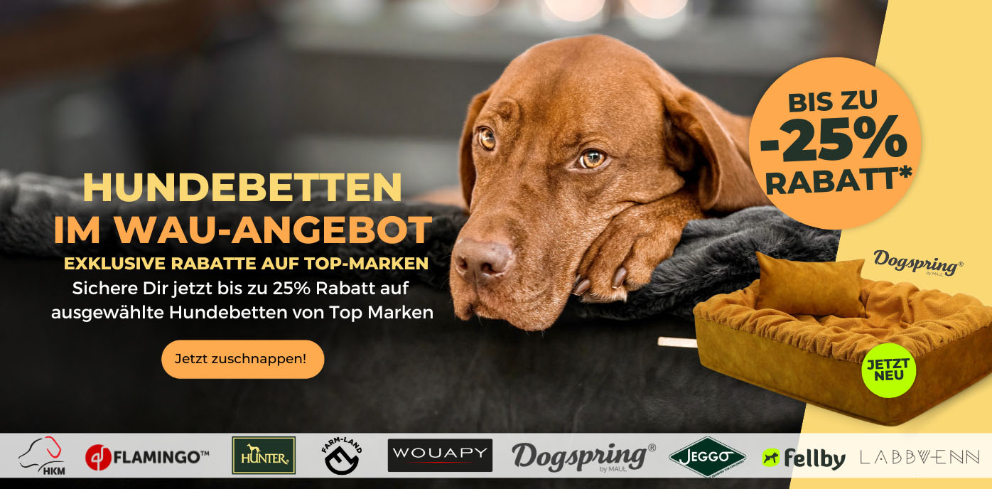 Hundebetten_Aktion_Maul_Desktop.jpg